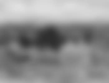 Edge of the village (preview)