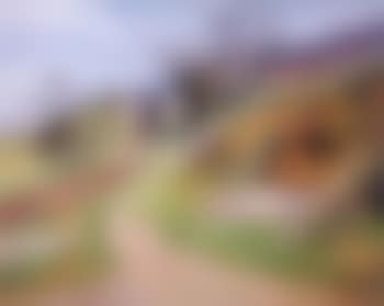 Paysage de campagne (preview)