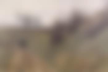 Woodpath with farmer and cart (preview)