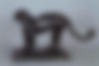 Panthere (preview)