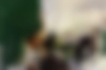 Grenouille (preview)