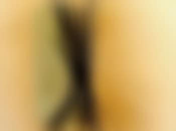 HH3210 (preview)