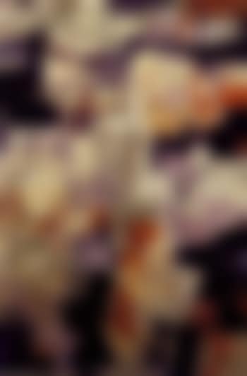Untitled (preview)
