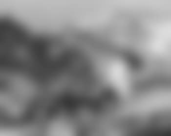 Stone's carabou, Alaska (preview)