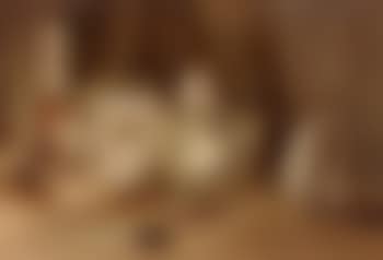 Ivasion (preview)