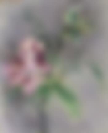 Flower still life (preview)