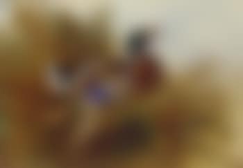 Mallard duck (preview)