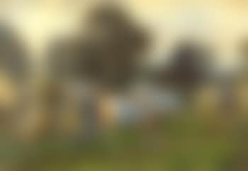 Paddock (preview)