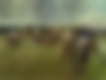 Grand National, 1972, Becher's first time (preview)