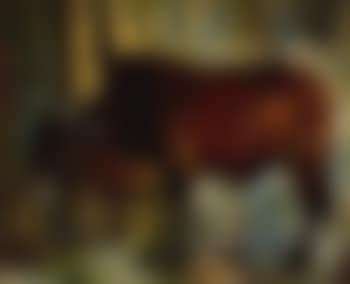 Ox (preview)
