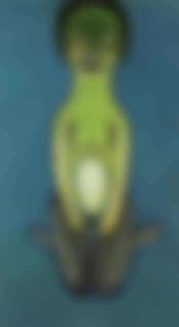 Moku (preview)
