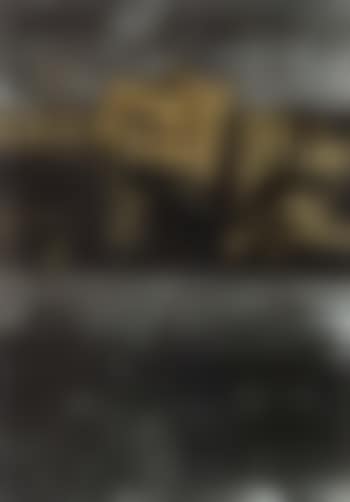 Abstract (preview)