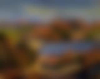 Coastline (preview)