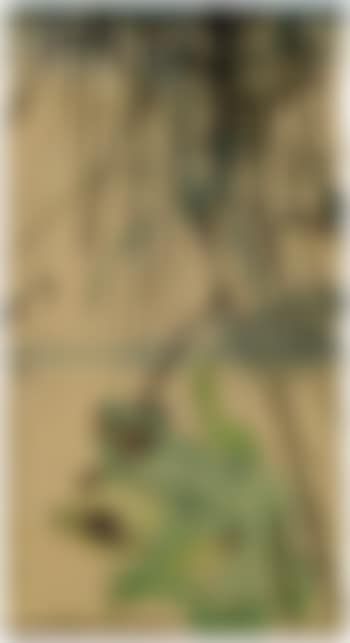 Blessing brought by rain (preview)