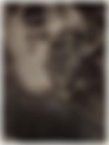 Cat (preview)