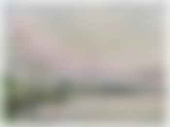 Lake landscape in Pommer (preview)