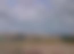 Canterbury landscape (preview)
