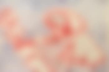 Suitor (preview)