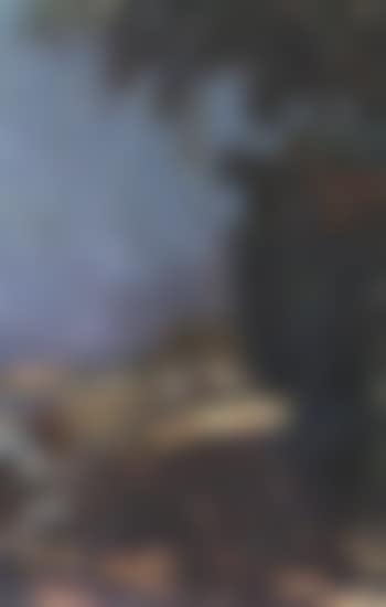 Boats along the shore (preview)