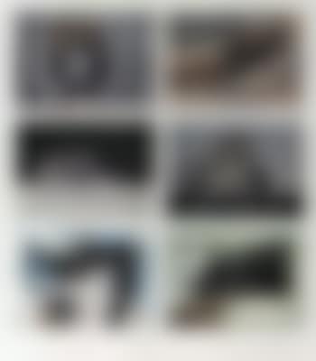 Animals (preview)