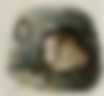 Retarded ape happy in the knowledge that it is the ancestor of man (preview)