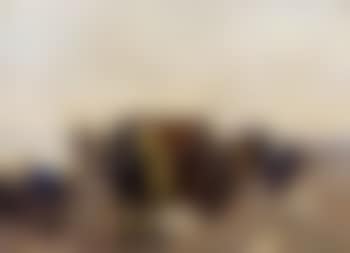 Dray wagons (preview)