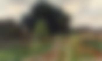 Farmer's wife on a polder path (preview)