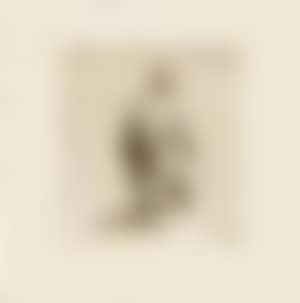 Polander (preview)