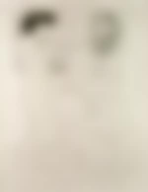 Sculpteur et modele (preview)