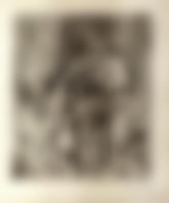 Nature morte (preview)