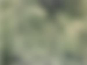 Aube (preview)