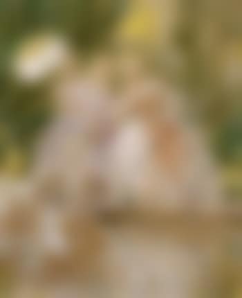 Cygnes familiers (preview)