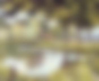 French river view (preview)
