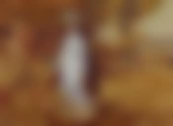 Portrait of a lady in a garden (preview)