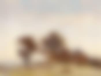 Autumn morning, Norfolk (preview)
