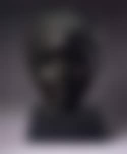 Head of a boy (preview)