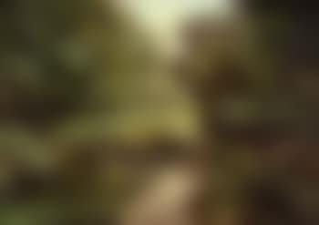 Summer stillness, river landscape (preview)
