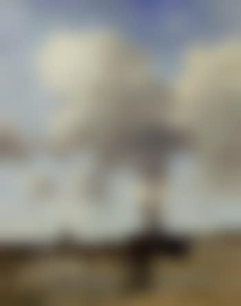 Sheelfishers on a windswept beach (preview)