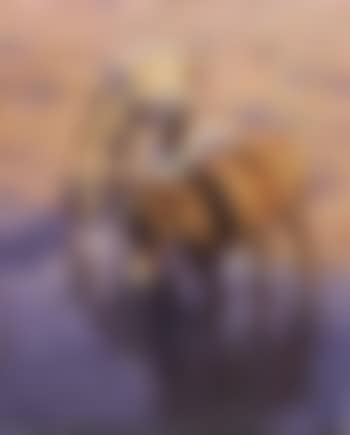 Jeune anier au point d'eau (preview)