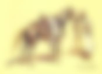 Cheval du Caid (preview)