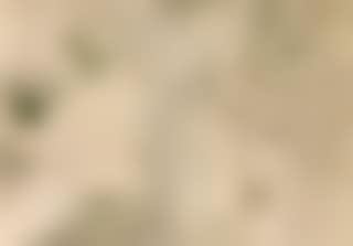 Couverture de L'estampe Originale (preview)
