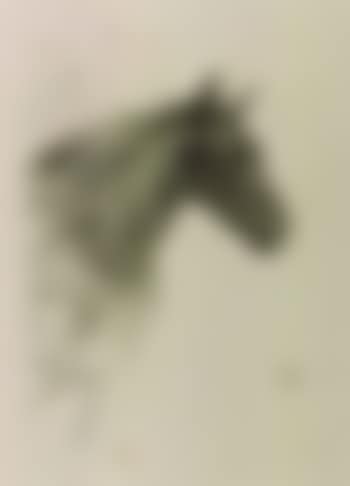 Le poney Philbert (preview)