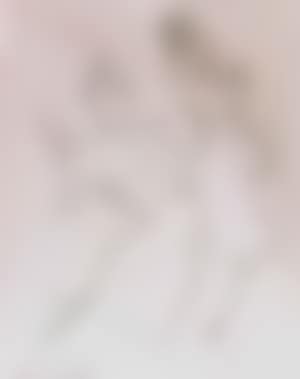 La goulue (preview)