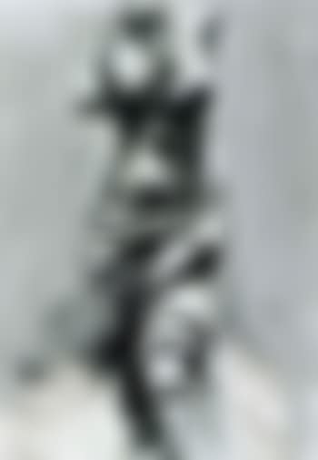 Nine views of winter (preview)