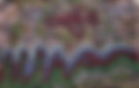 L'avion (preview)