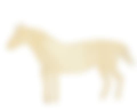 Cheval (preview)