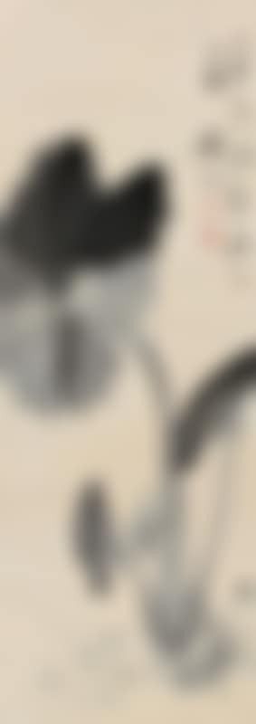 Taro (preview)