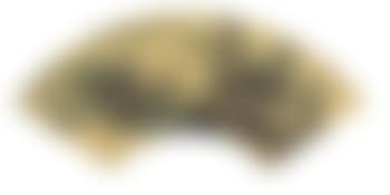 Landscape (preview)