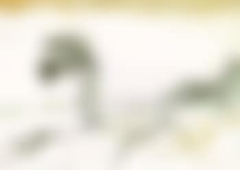 Svanshall reversed (preview)