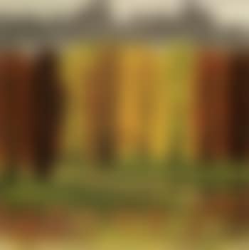 Maple wood (preview)